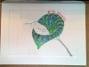 scribblerworks-art-card-hummingbird-process-2
