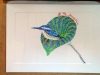 scribblerworks-art-card-hummingbird-process-3