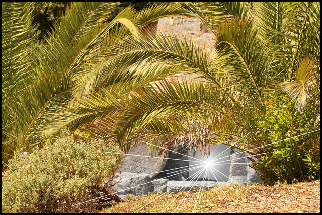 The empty tomb