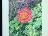 scribblerworks-art-card-flaming-rose